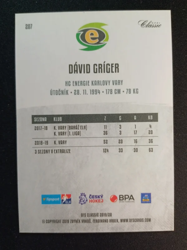 2019/2020 OFS OFS Classic Silver 207 David Gríger Paralel - Image 2