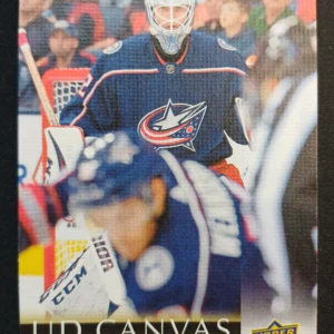 2018/2019 Upper Deck Series 2 Canvas C142 Sergei Bobrovsky Inzert