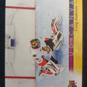 2017/2018 Upper Deck Series 1 Canvas C61 Craig Anderson Inzert