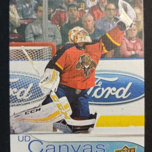 2016/2017 Upper Deck Series 1 Canvas C40 Roberto Luongo Inzert