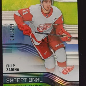 2019/2020 Upper Deck Synergy Exceptional Beginnings EB-4 Filip Zadina Inzert