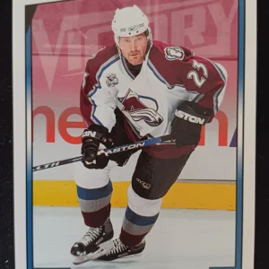 2006/2007 Upper Deck Victory Base 50 Milan Hejduk