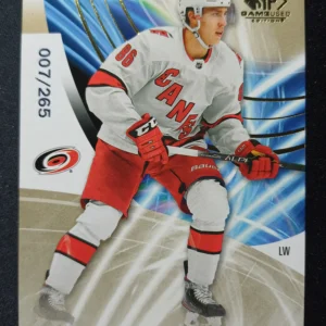 2020/2021 Upper Deck SPGU Golden Burst 14 Teuvo Teravainen Paralel 007/265