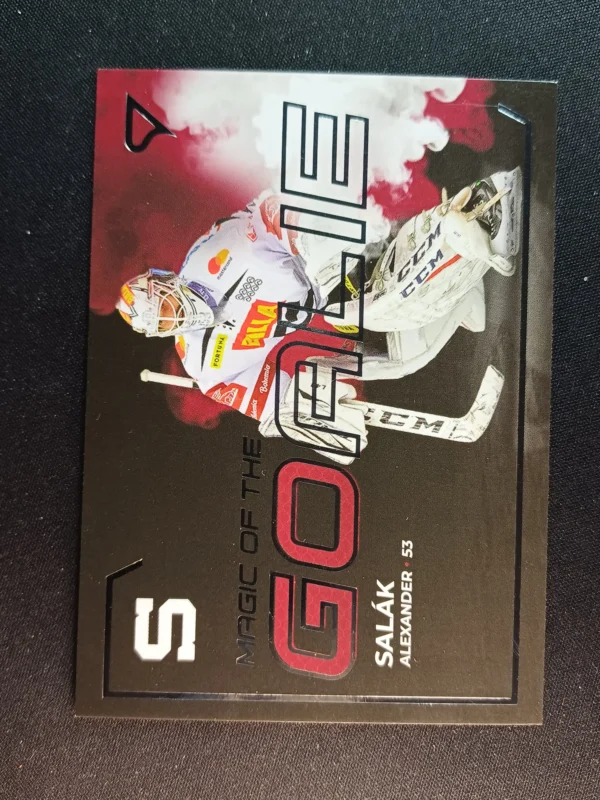 2021/2022 Sportzoo Serie 1 Magic of the Goalie MG-04 Alexander Salák Inzert