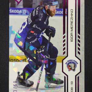 2024/2025 Sportzoo Serie 1 Purple Iceberg 204 Igor Merezhko Paralel 23/60